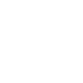 2009