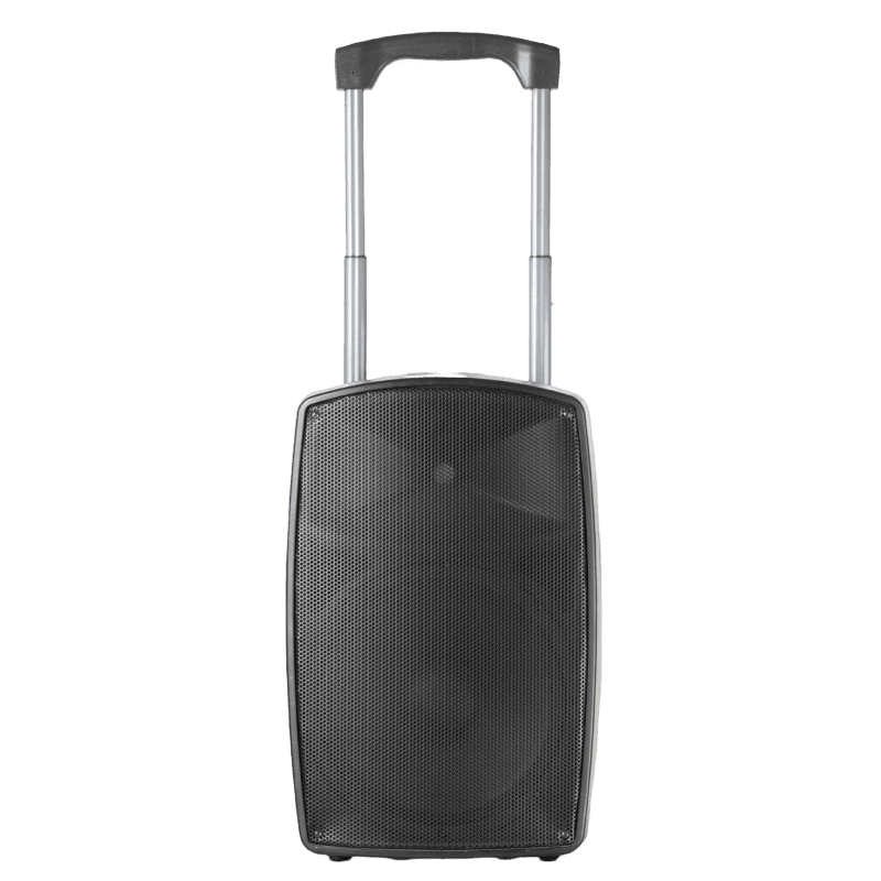 12" 200W Outdoor PA Speaker