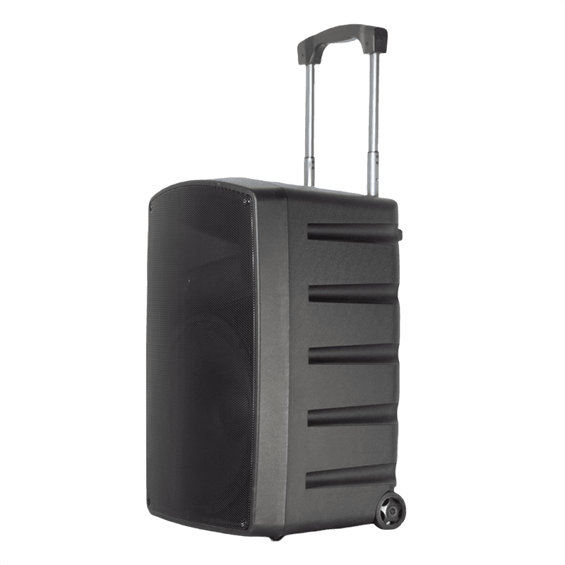 15" 200W Outdoor PA Speaker