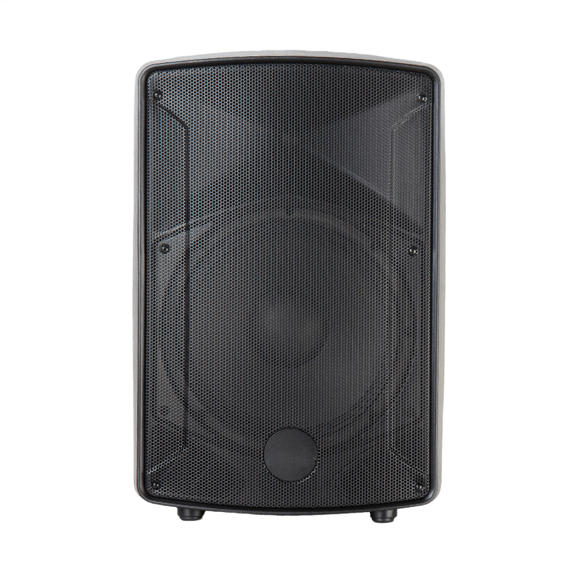 12" Plastic Two Way Loudspeaker
