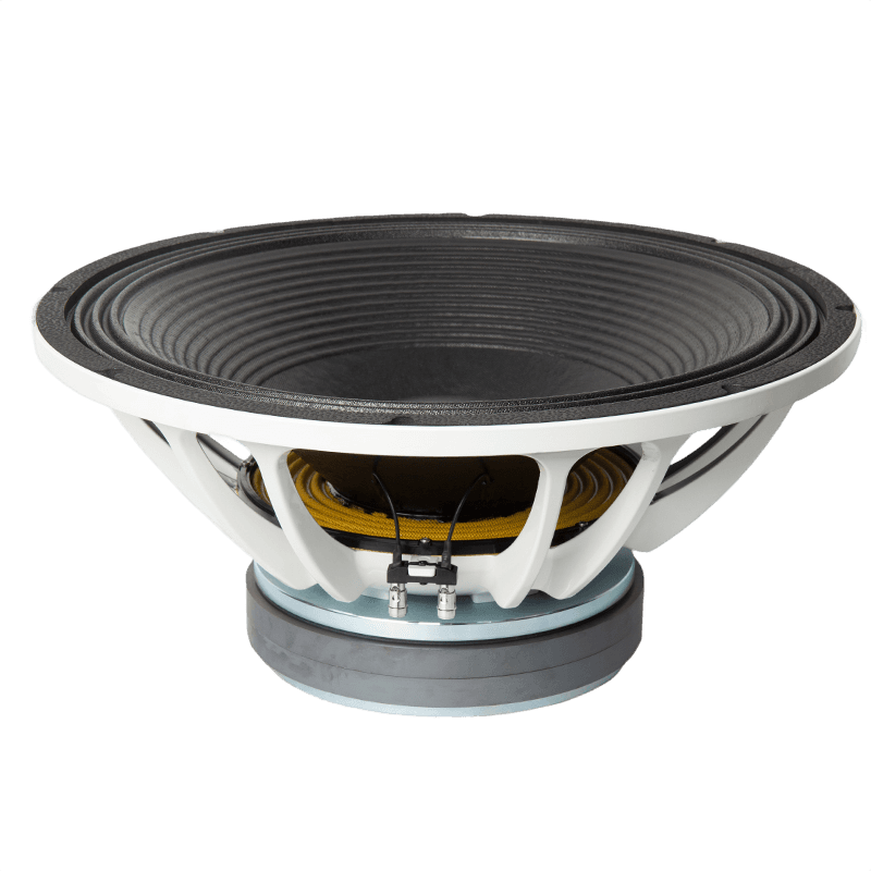 21" Speaker Woofer