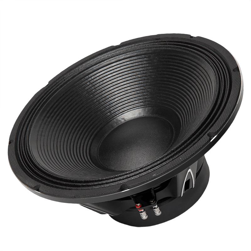 18" Speaker Woofer